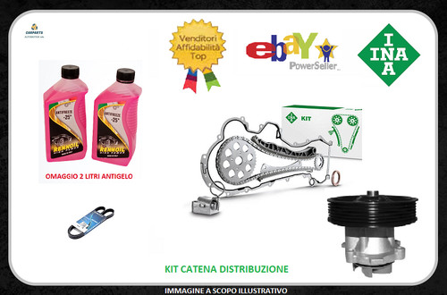 Kit catena distribuzione fiat - kit,