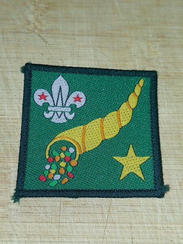 Scouting fleur lys - uk,