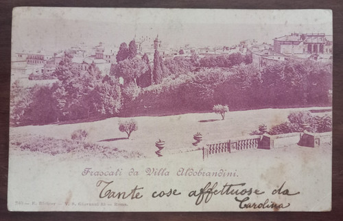 12549 cartolina frascati - 12549,