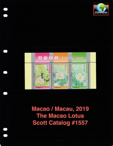 Scott value 2019 macao - scott,