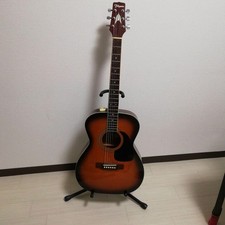 Chitarra acustica Takamine