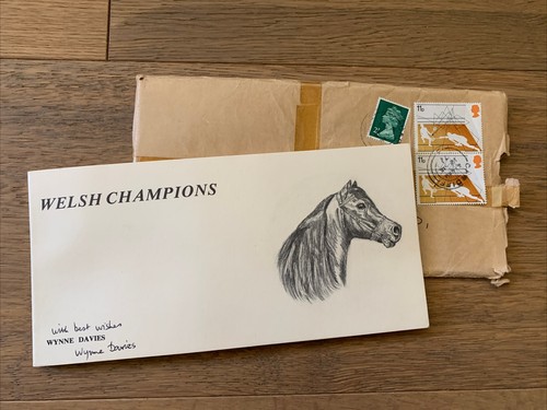 Welsh pony champions - welsh,