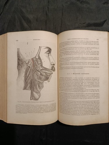Libro antico medicina 1880 - medicina,