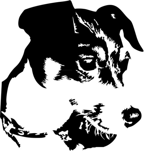 Adesivo jack russell terrier - russell,