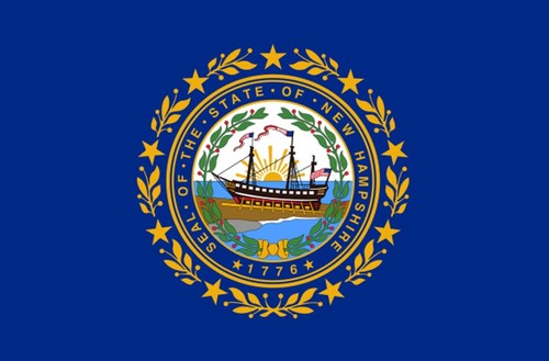 Adesivo bandiera stati usa - stati,