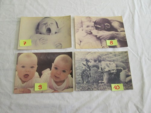 Bimbo bambino children foto - children,