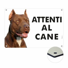 PITBULL ATTENTI AL CANE |
