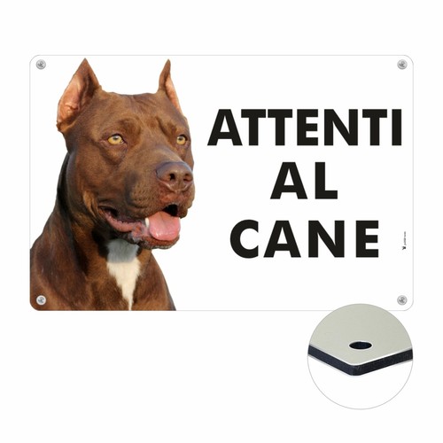 Pitbull attenti cane - pitbull, al