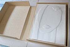 50 ANNI DI AMICA, 2012 grande volume copertina 3D di F. Lucchini e contenitore