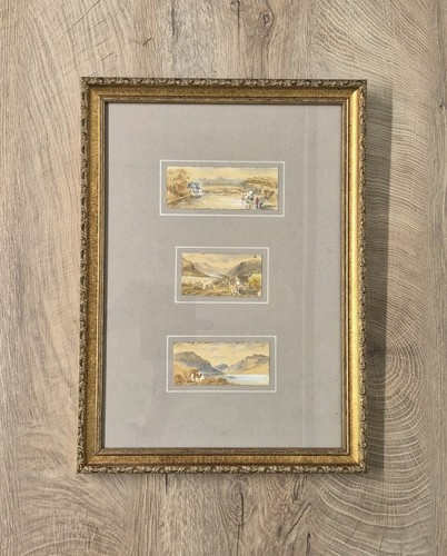 Antichi acquerelli miniature - acquerelli,