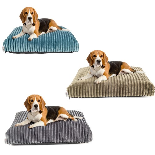 Cuccia per cani cuscino per