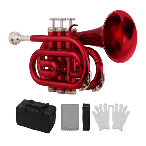 Tromba professionale mini