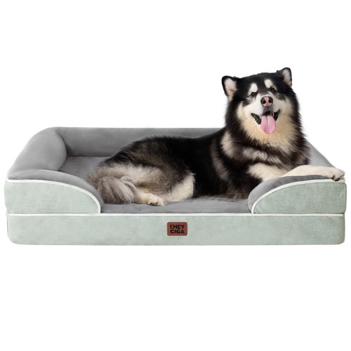 Cuccia cane interno taglia - cane,