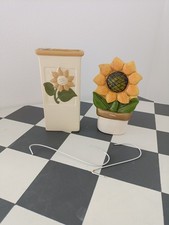 2 umidificatori termosifone