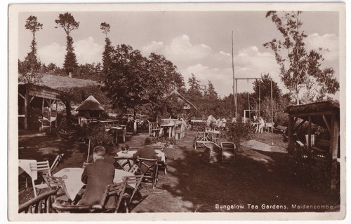 Bungalow tea gardens - bungalow,