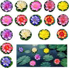 Fiori Di Loto Galleggianti