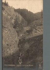 Firenze Vallombrosa lungo il