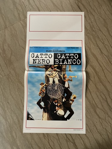 Gatto nero bianco - nero,