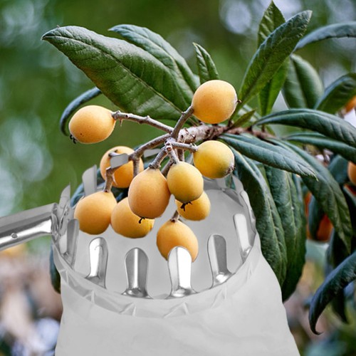 Raccogli frutta con ampia - raccogli,