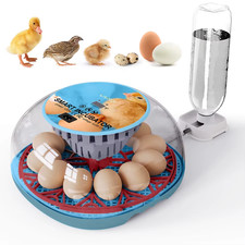 Incubatrice per uova - incubatrice,