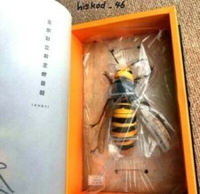 KAIYODO REVOGEO calabrone