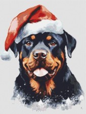 Dog's Delight Rottweiler Dog