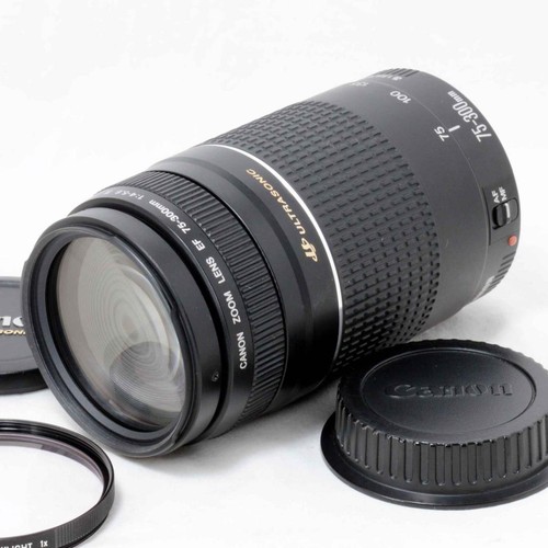 Canon 300 mm obiettivo - mm,