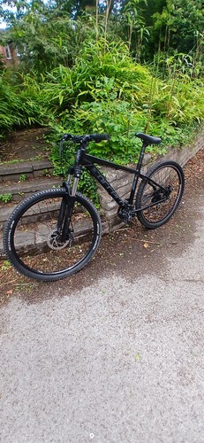 Mountain bike carrera - mountain, vengance
