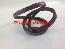 Cinghia trasmissione