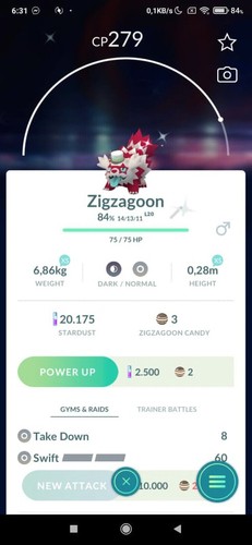 Cappello galarian zigzagoon - galarian,