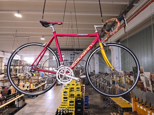 Bici corsa lee cougan - corsa,