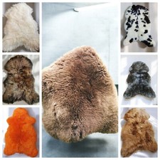 Vera pelle di pecora | fino a