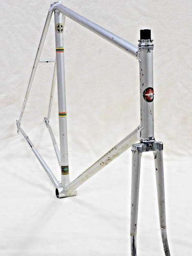 Schwinn paramount - cm,