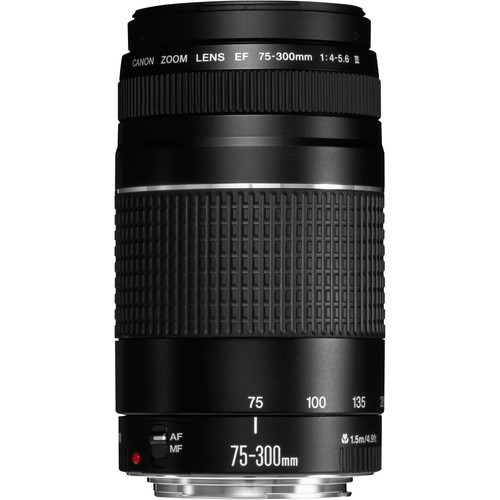 Canon obiettivo 300mm - canon, ef