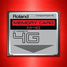 Scheda di memoria Roland 4 GB