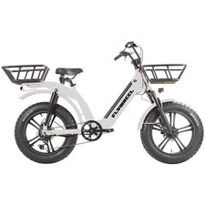 Bici cargo e-bike fat in