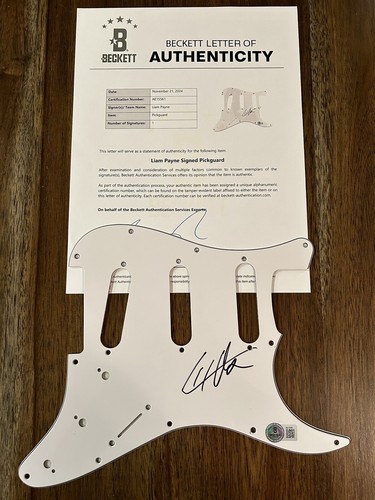 Battipenna chitarra elettrica