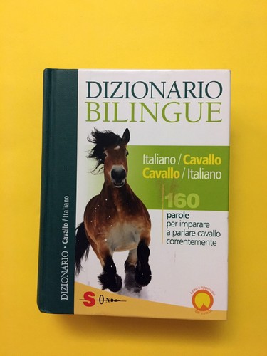 Dizionario bilingue