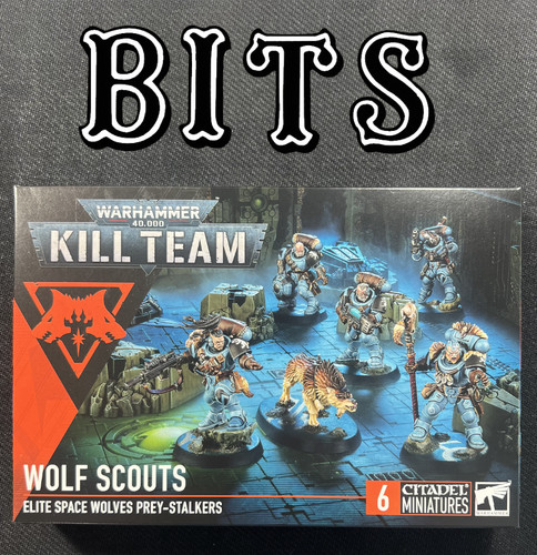 Warhammer 40k wolf scouts kill - warhammer,