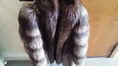 Pelliccia volpe argentata - volpe,