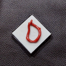 Antico ramo di corallo rosso