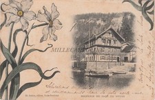 SVIZZERA - Souvenir du Saut du