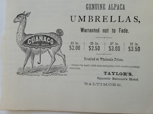 Ombrello alpaca lama - ombrello,