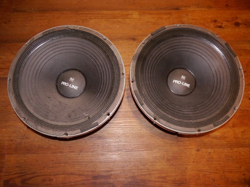 Speaker proline pezzo - 1, pezzo.