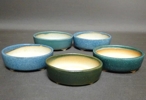 Vaso per bonsai coreano