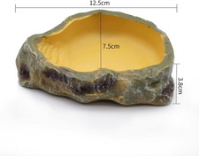 Rettile Verme Ciotola D'Acqua