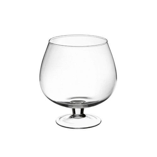 Terrario bottle garden - bottle, coppa