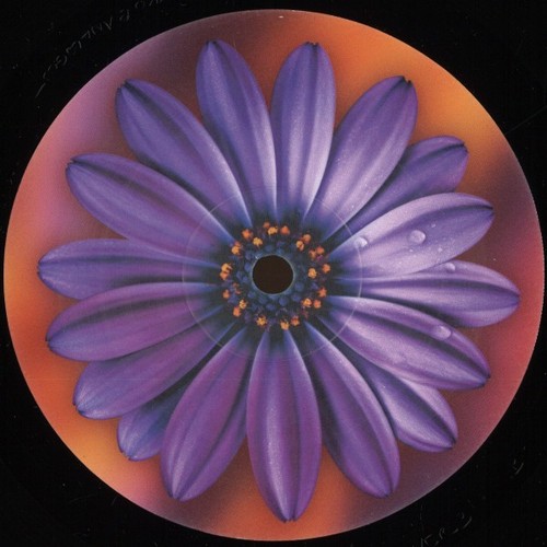 Clarence here 12 vinyl - -, 12"