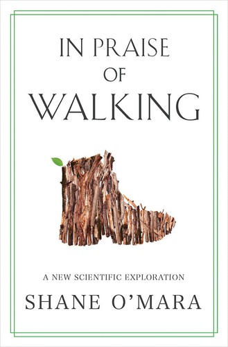 Praise walking a new - praise,