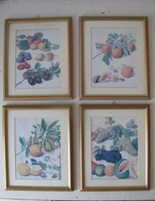  STAMPE/QUADRO  CON  FRUTTA